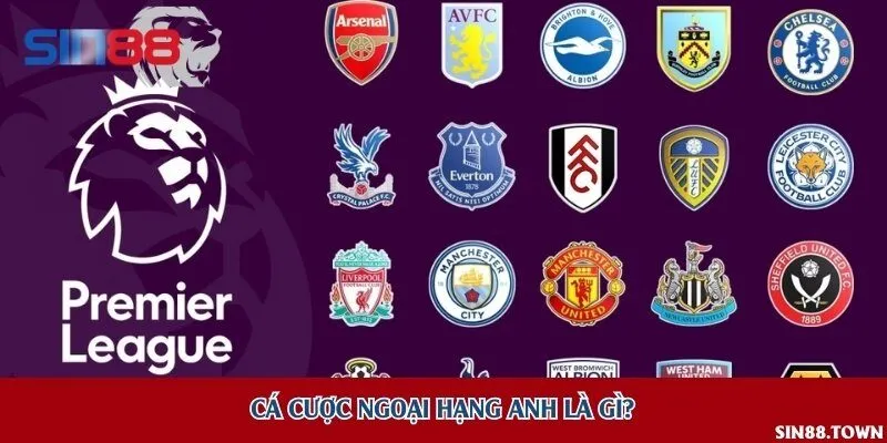 Ngoại hạng Anh là giải đấu vô cùng nổi tiếng trên thế giới