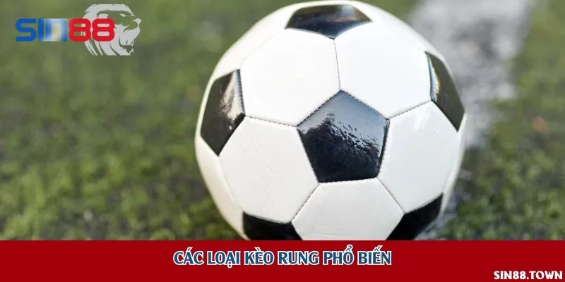 Các loại kèo rung phổ biến