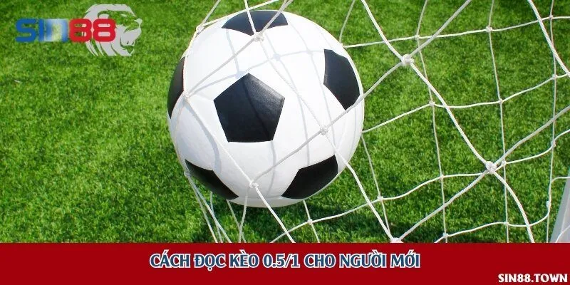 Cách đọc kèo 0.5/1 cho người mới