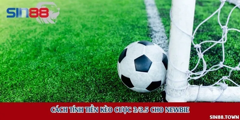 Cách tính tiền kèo cược 3/3.5 cho newbie