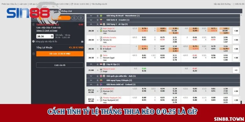 Cách tính tỷ lệ thắng thua kèo 0/0.25 là gì?