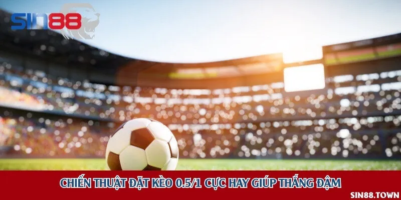 Chiến thuật đặt kèo 0.5/1 cực hay giúp thắng đậm