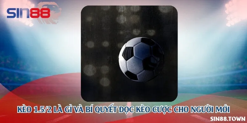 Kèo 1.5/2 là gì và bí quyết đọc kèo cược cho người mới