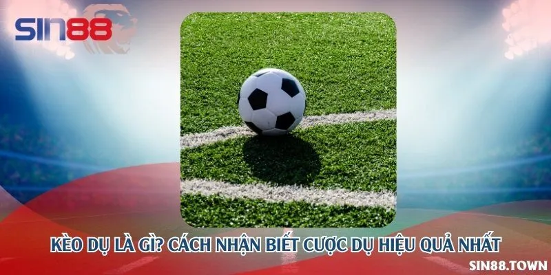 Kèo dụ là gì? Cách nhận biết cược dụ hiệu quả nhất