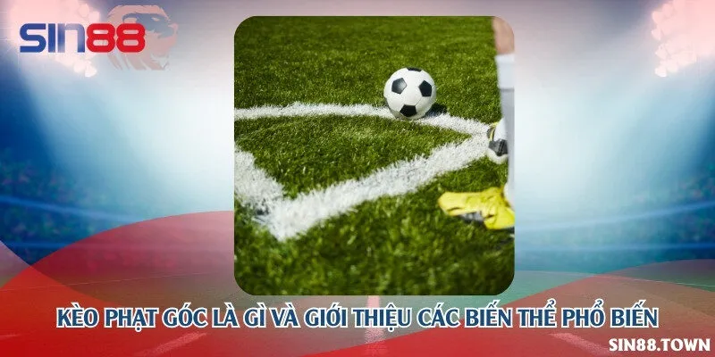 Kèo phạt góc là gì và giới thiệu các biến thể phổ biến