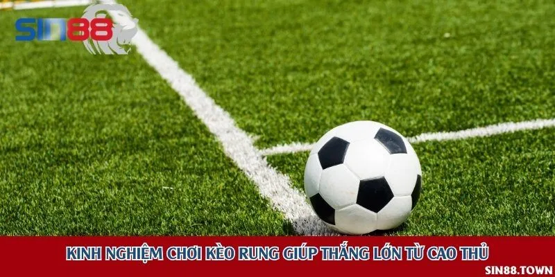 Kinh nghiệm chơi kèo rung giúp thắng lớn từ cao thủ