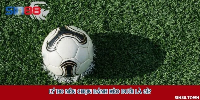Lý do nên chọn đánh kèo dưới là gì?