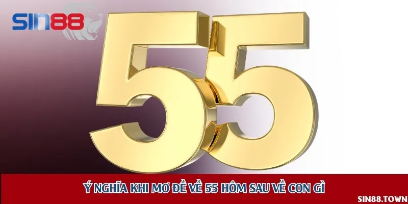 Tìm hiểu những con số trong khi đề về 55